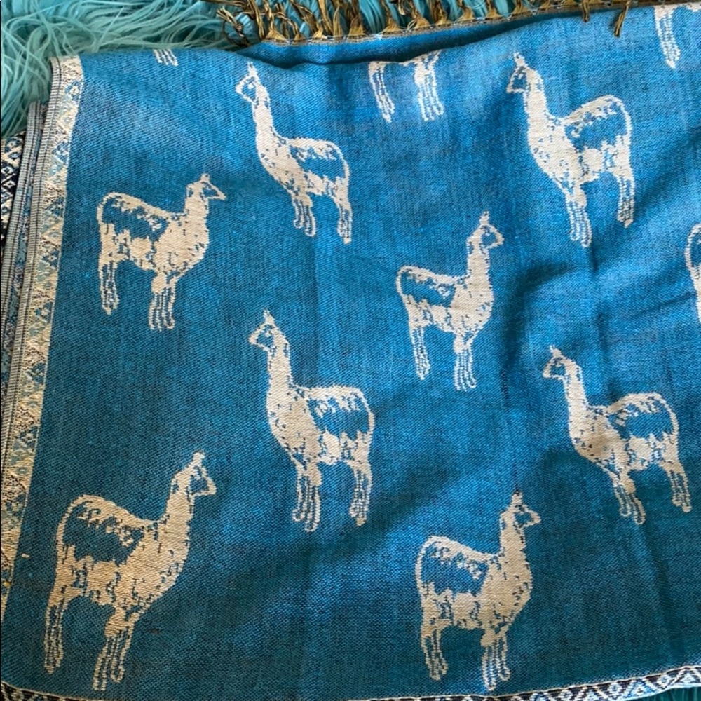 Pashmina/Wrap - image 5